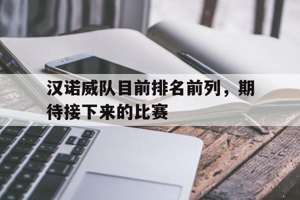 汉诺威队目前排名前列，期待接下来的比赛